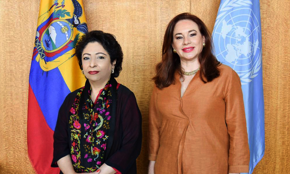 Pakistan’s ambassador to the United Nations