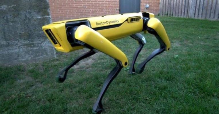 ROBOTIC DOGS