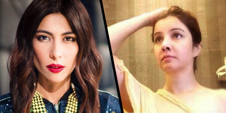 Meesha Shafi came in support for Rabi Pirzada