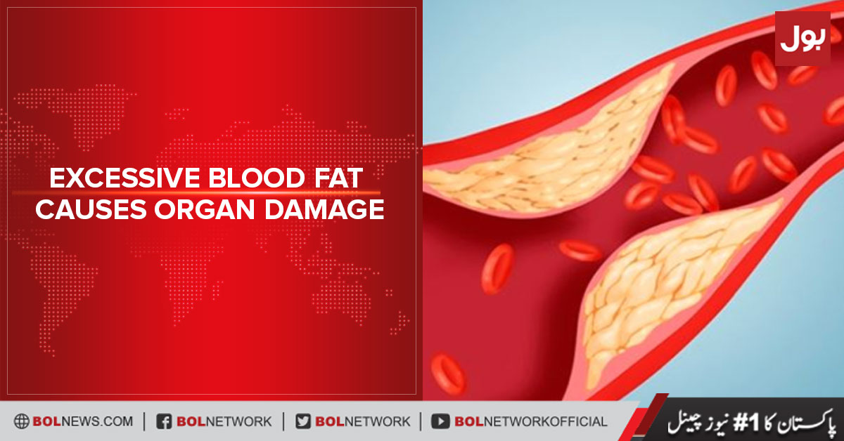 Excessive blood fat causes organ damage, research