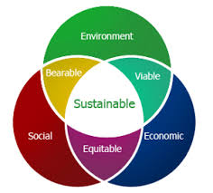 Sustainable Growth