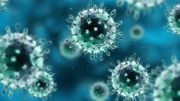 What is Coronavirus?