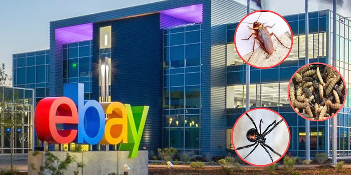 Former Ebay Employees Arrested For Harassing Journalist By Sending