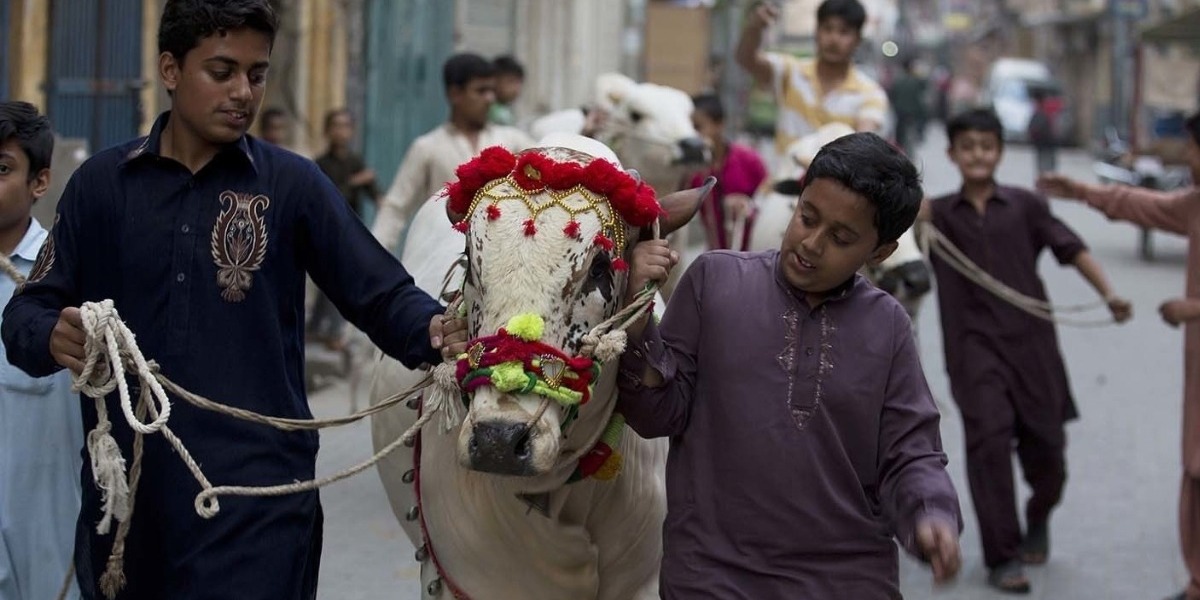 Sindh Govt extends Eid-ul-Adha holiday