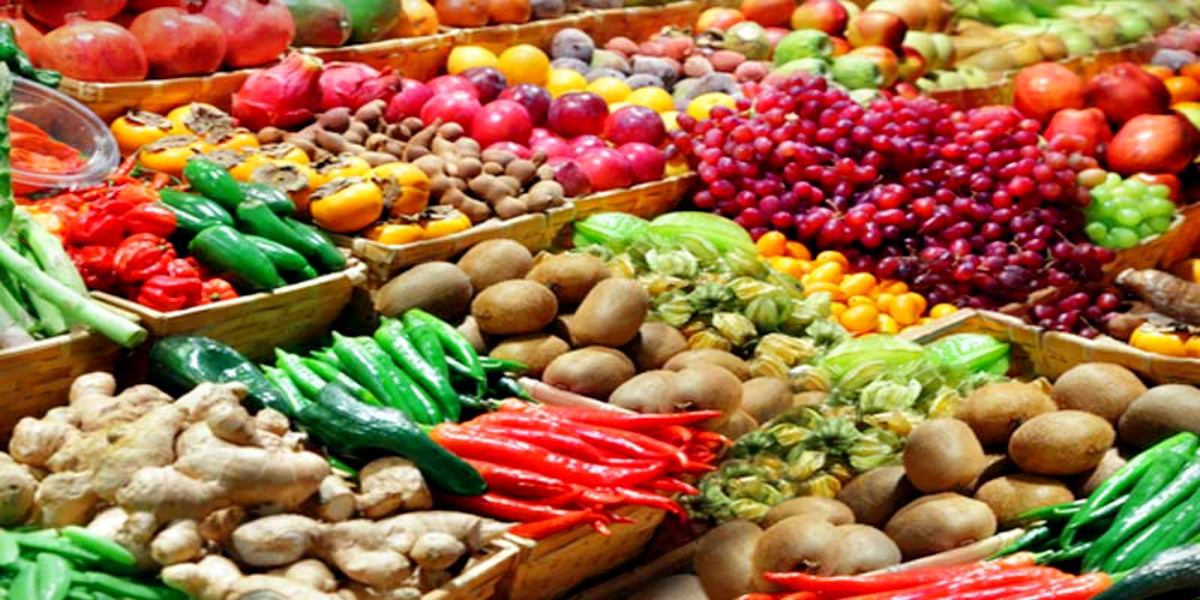 Vegetable exports hit record high of 82.88%