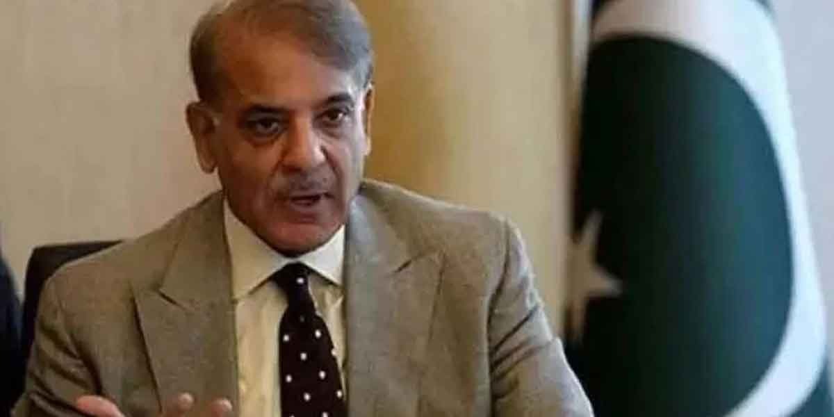 Aviation Minister's 'Mindless' Speech Led To Ban On PIA: Shehbaz Sharif