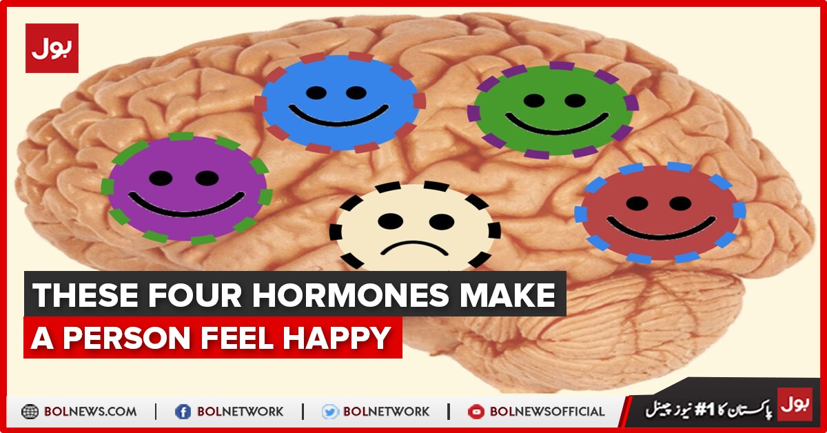 We feel happy because these four hormones make a person feel happy