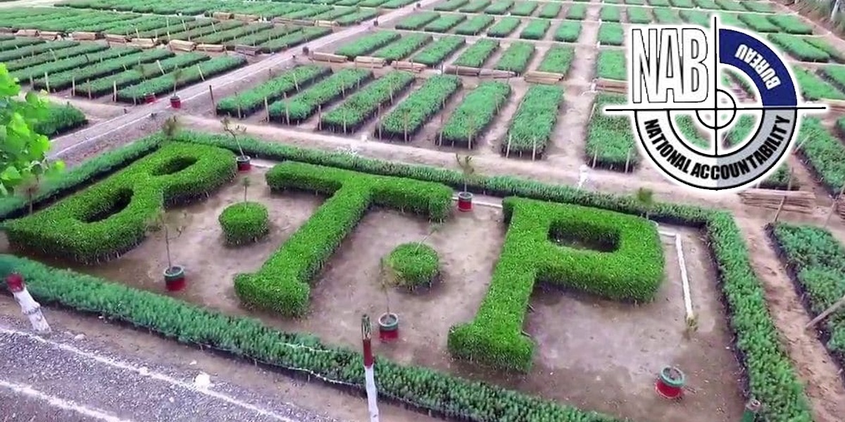 Billion Tree Tsunami: NAB approves 4 investigations, 6 inquiries