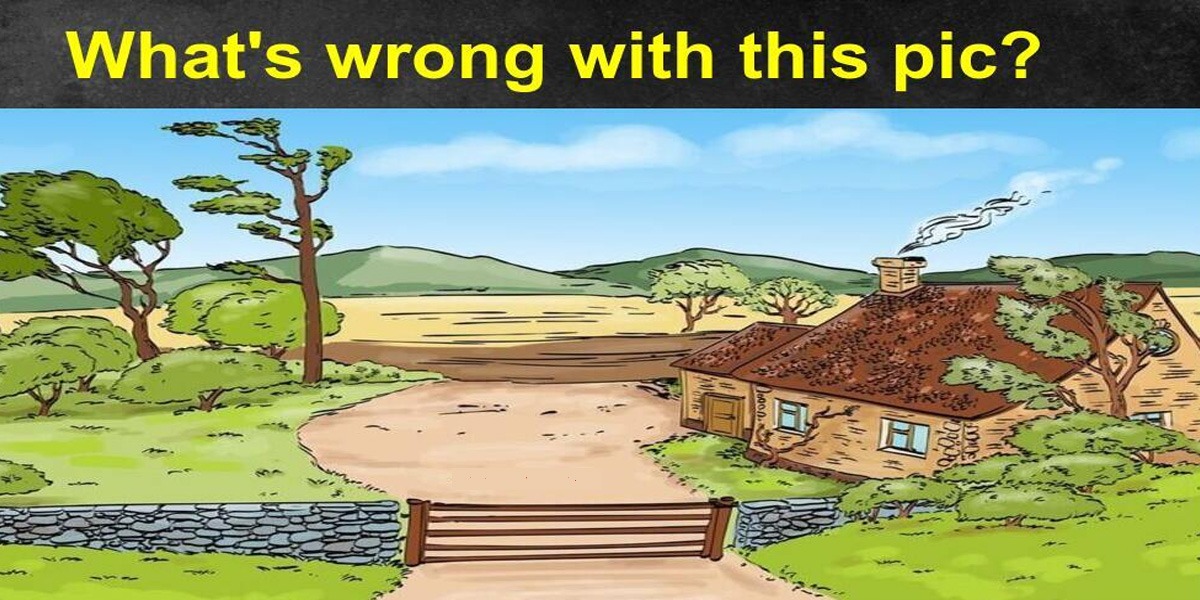 What Is Wrong In This Picture Find Out Here BOL News