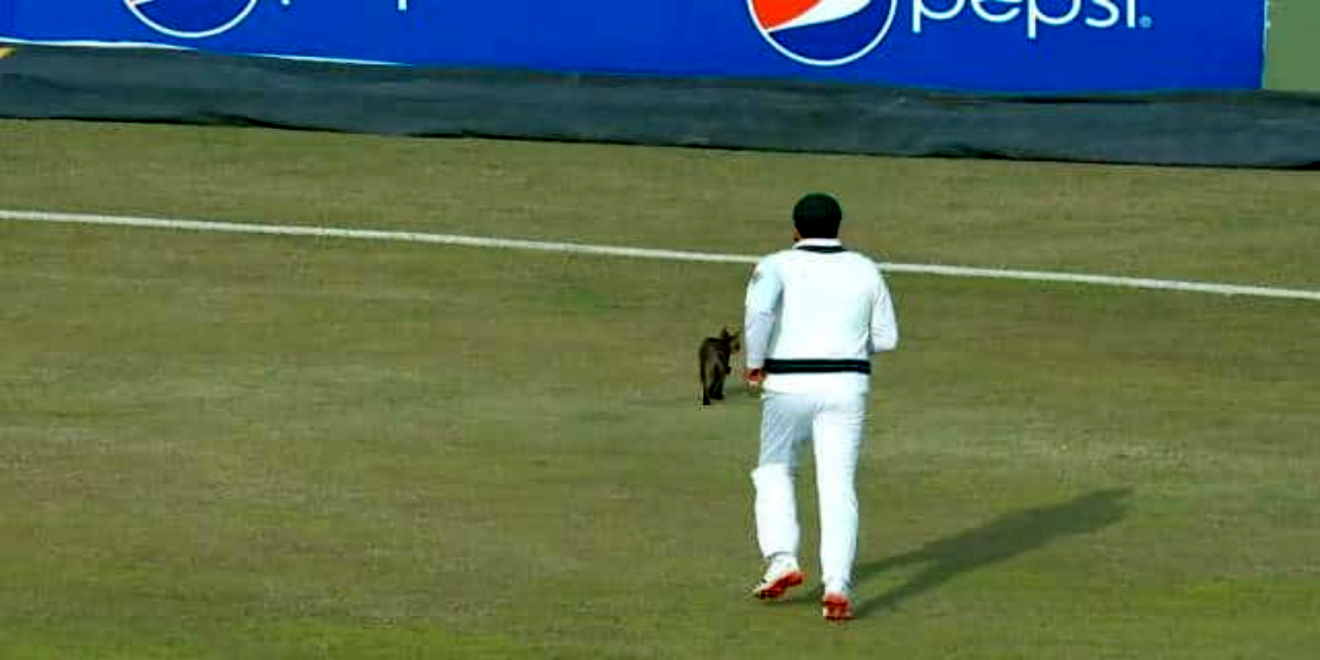Mohammad Rizwan