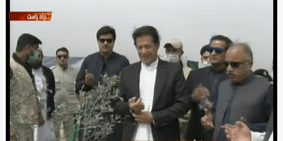 PM launches olive plantation campaign