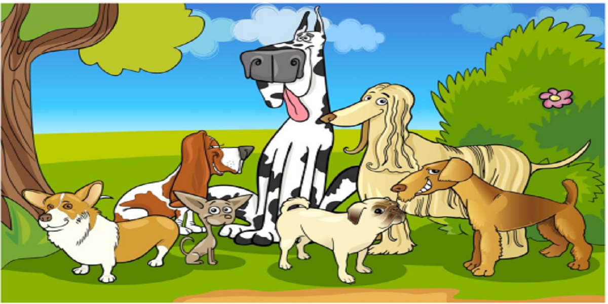 Can you spot 10 differences between these two photos?
