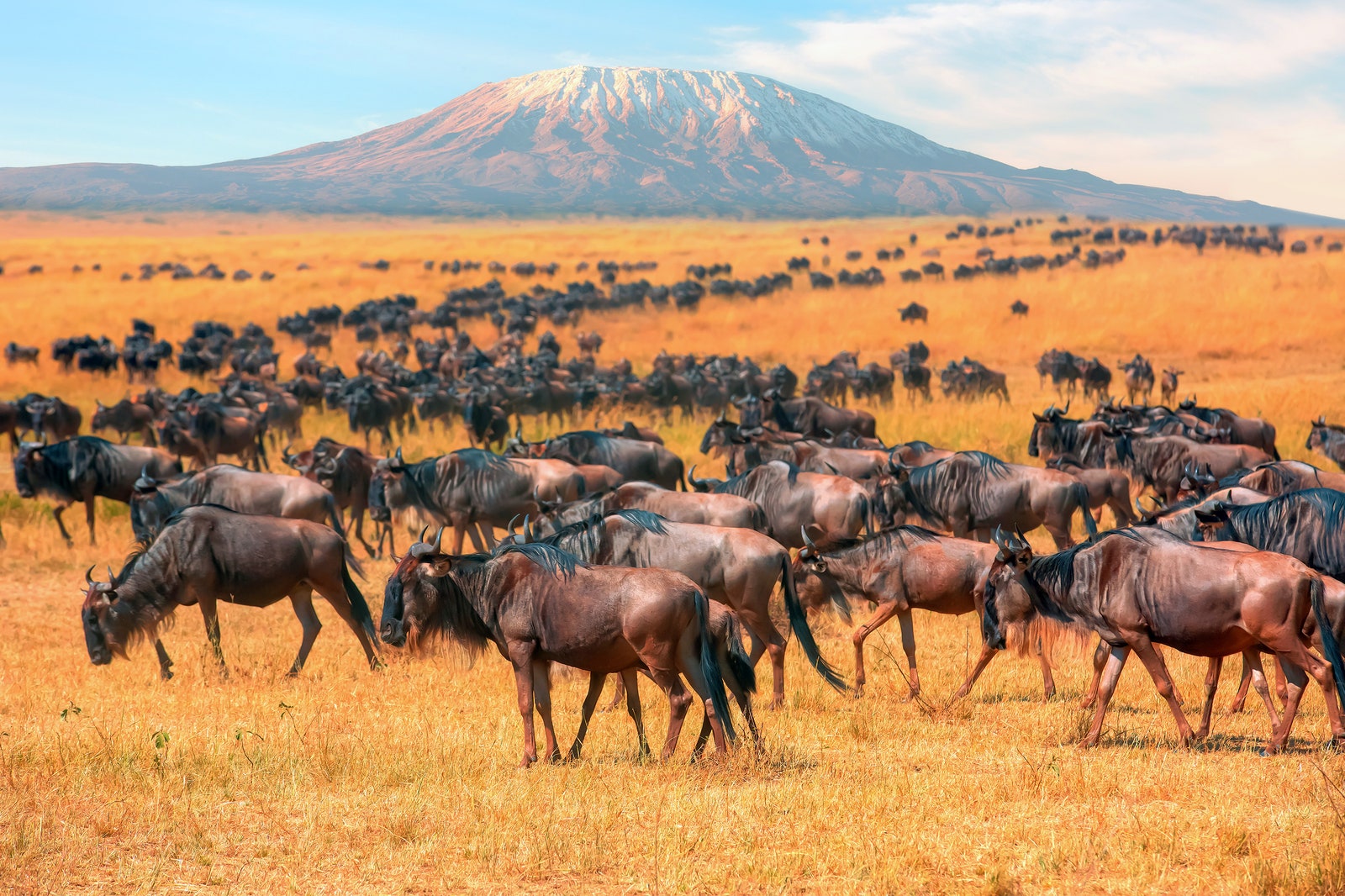 The Best Places to Travel in August