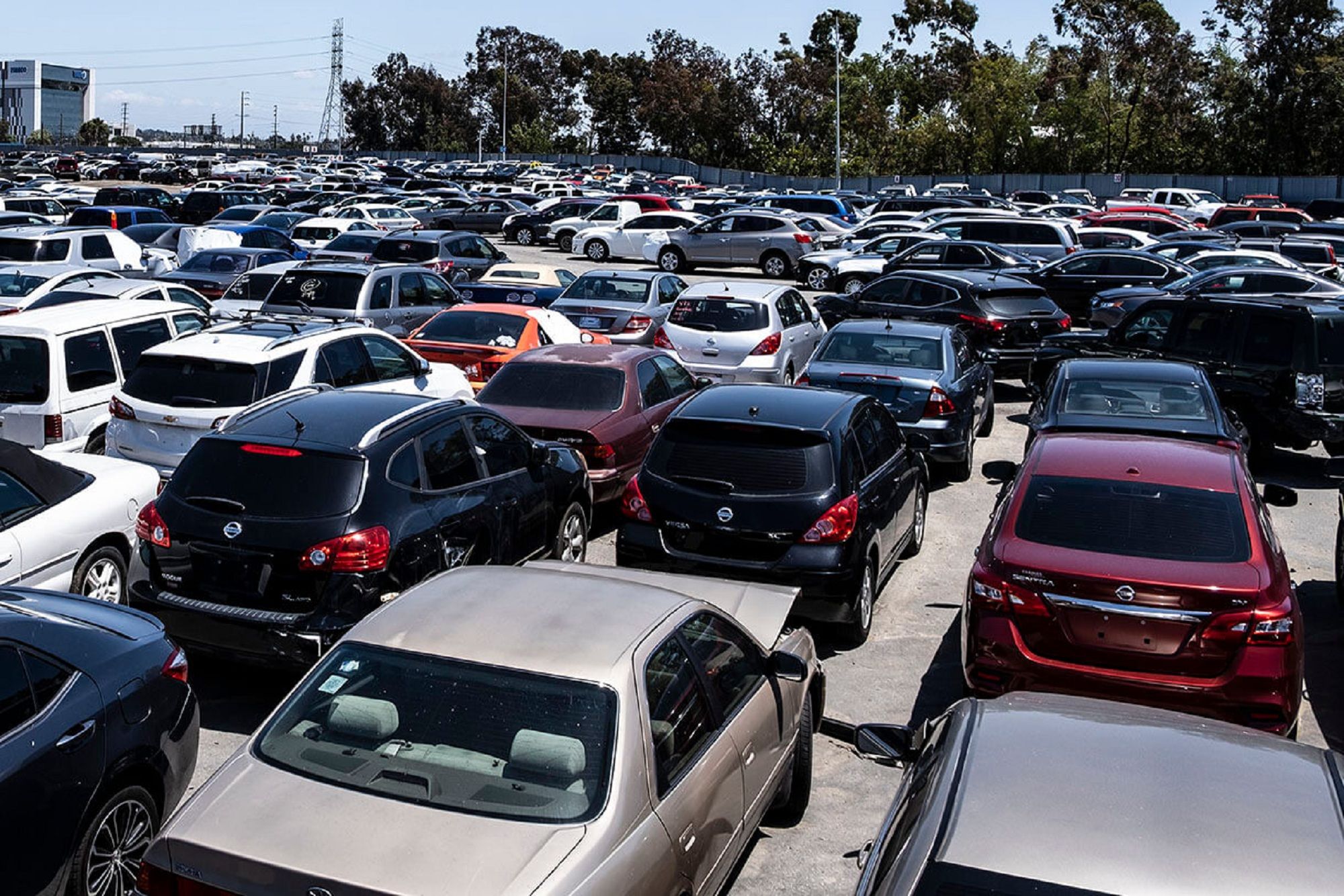 Car Auction