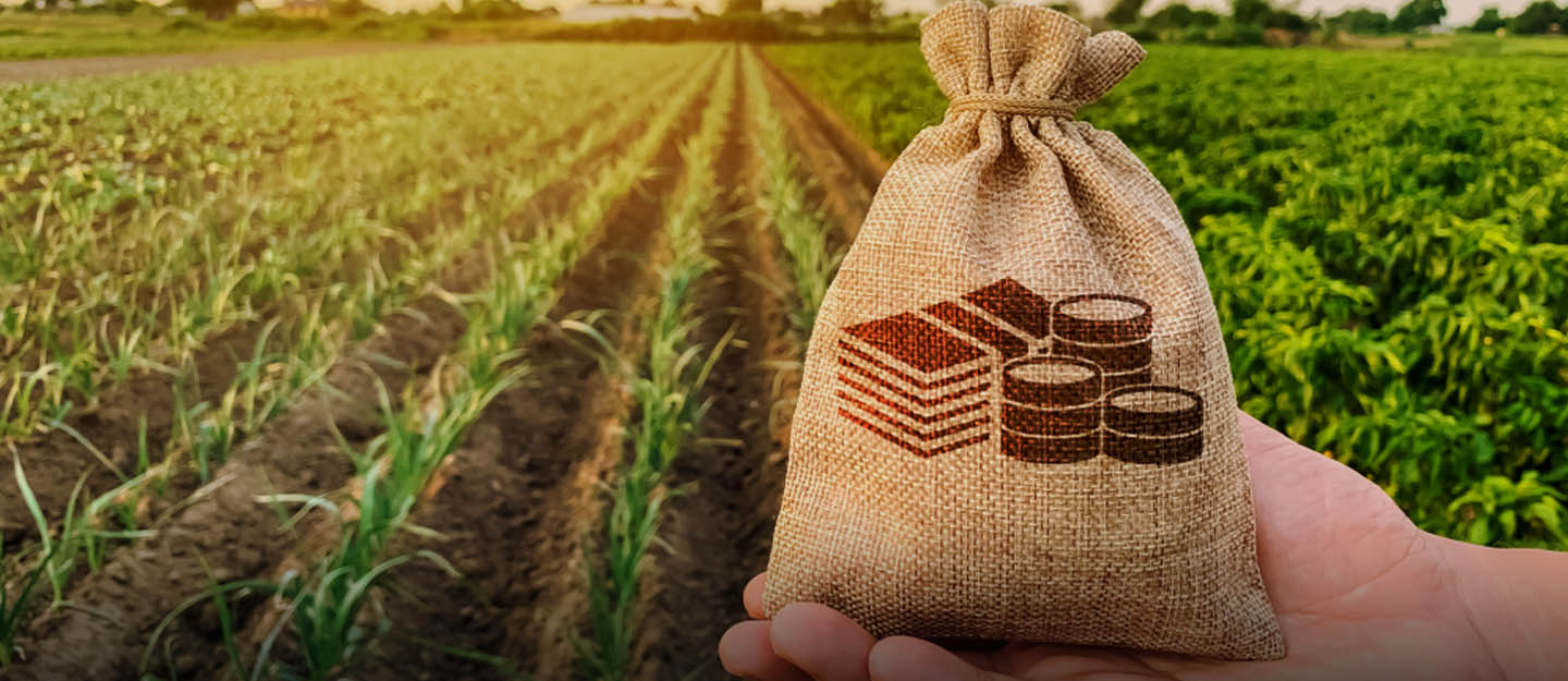 agriculture policies