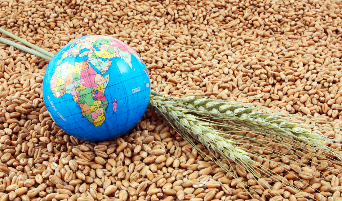 food security