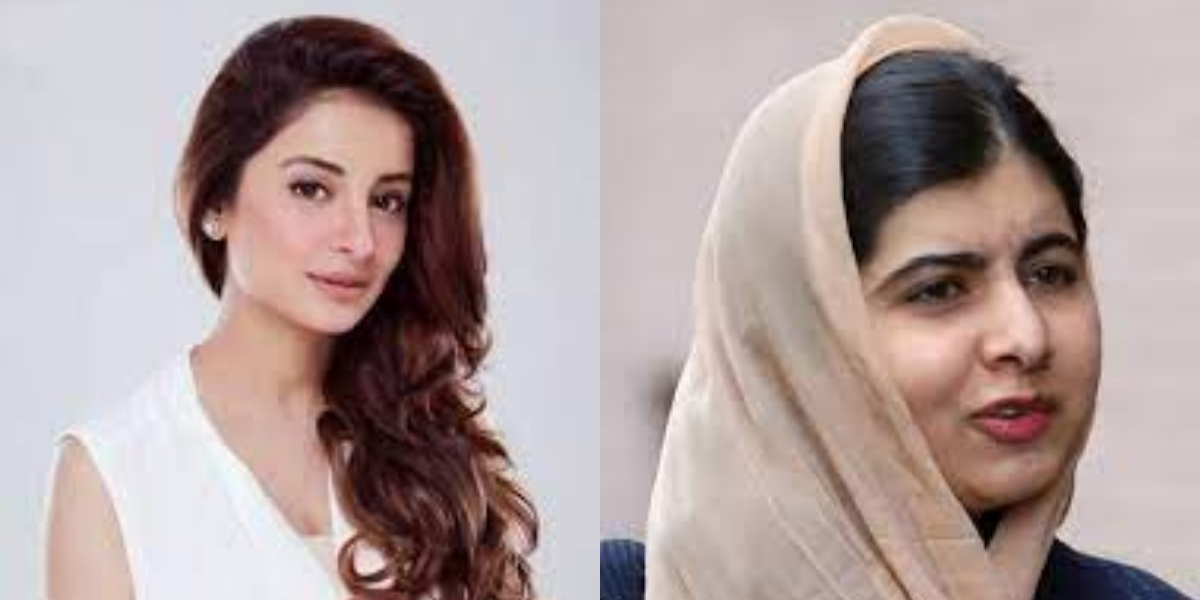 celebrities beg for Afghans' protection.