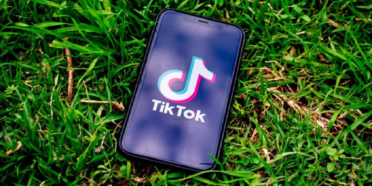 Punjab Parks and Horticulture Authority (PHA) banned TikTokers and YouTubers