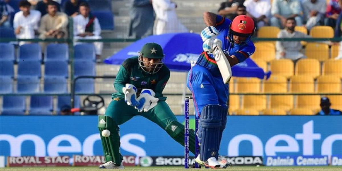 PAK v AFG: Afghanistan wants to host Pakistan for cricket series