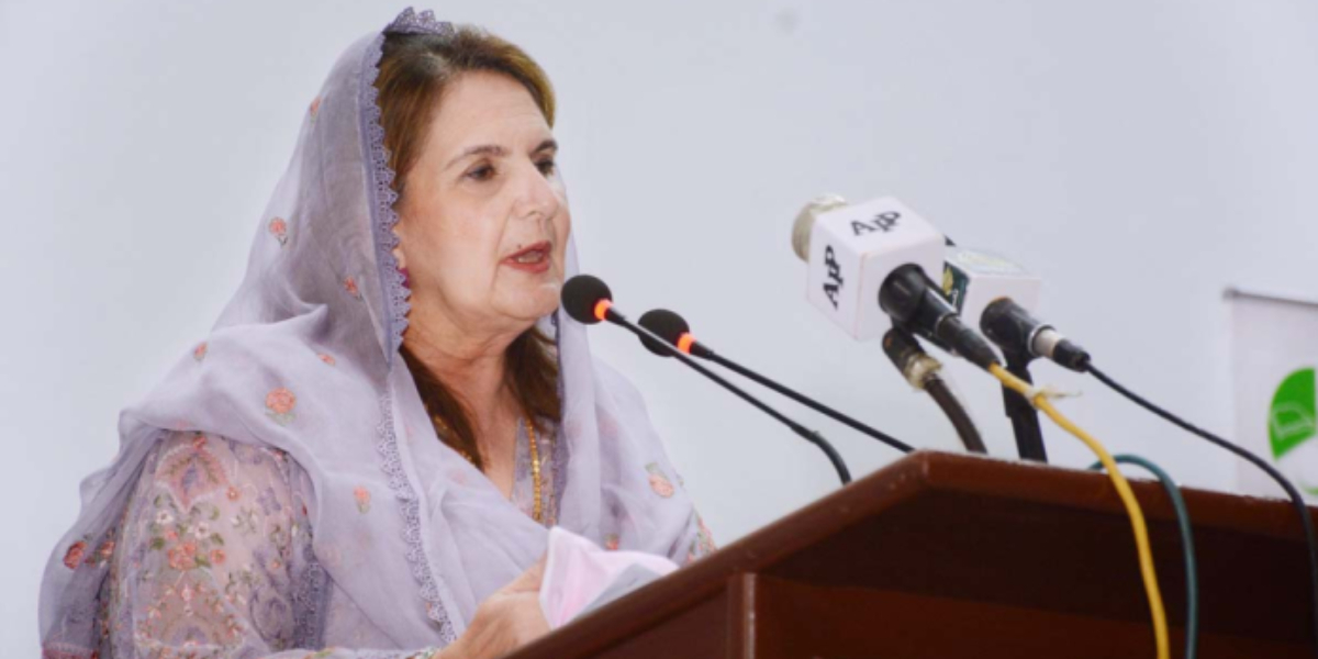 Samina Alvi