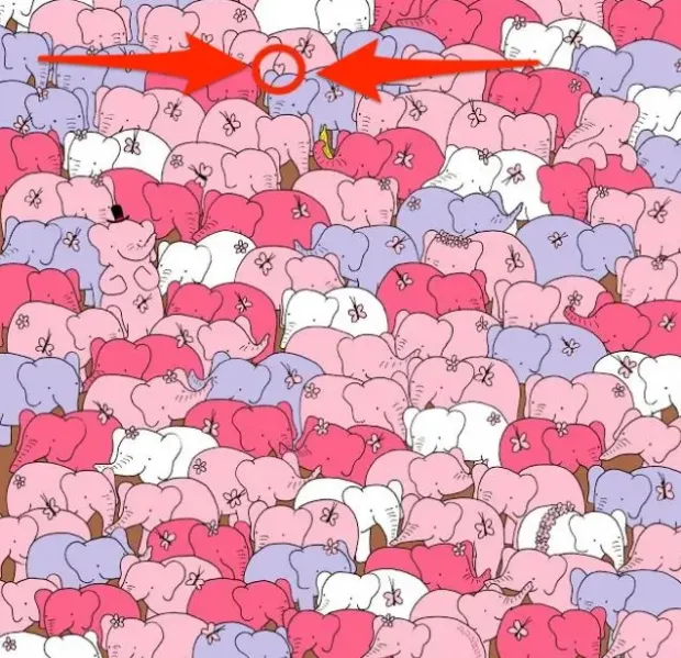 find hidden heart