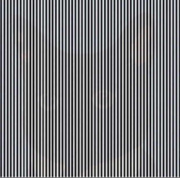 Optical Illusion 